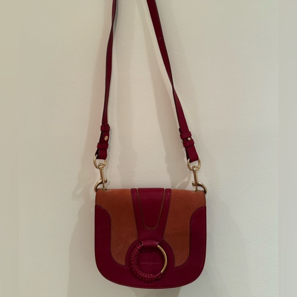 See By Chloe Red and Brown Crossbody Bag with Gold Accents